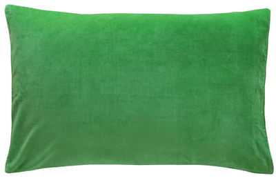 Green velvet pillowcase | Castle