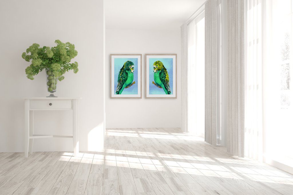 Green_Budgies_1_and_2_in_room_1024x1024